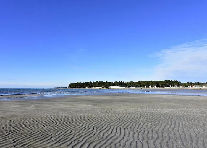 Spacious With Parking