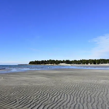 Spacious With Parking