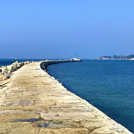 Daire Spacious With Parking